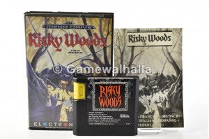 Risky Woods - Sega Mega Drive